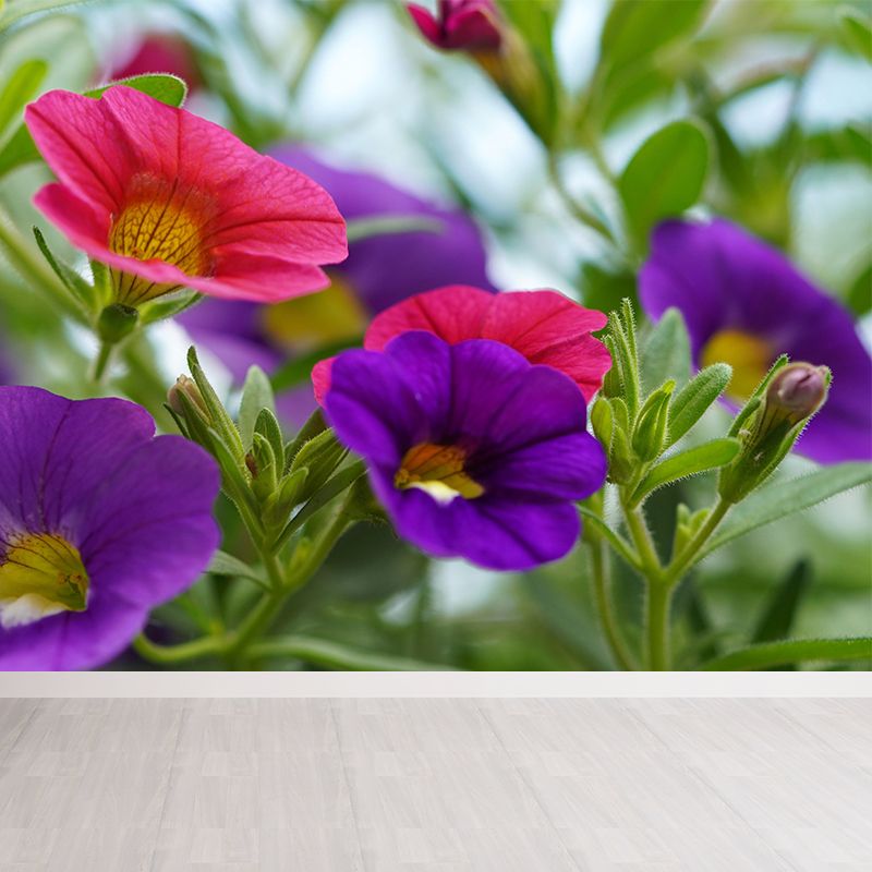 Contemporary Morning Glory Wall Mural Moisture Decorative Eco-friendly for Home Decor