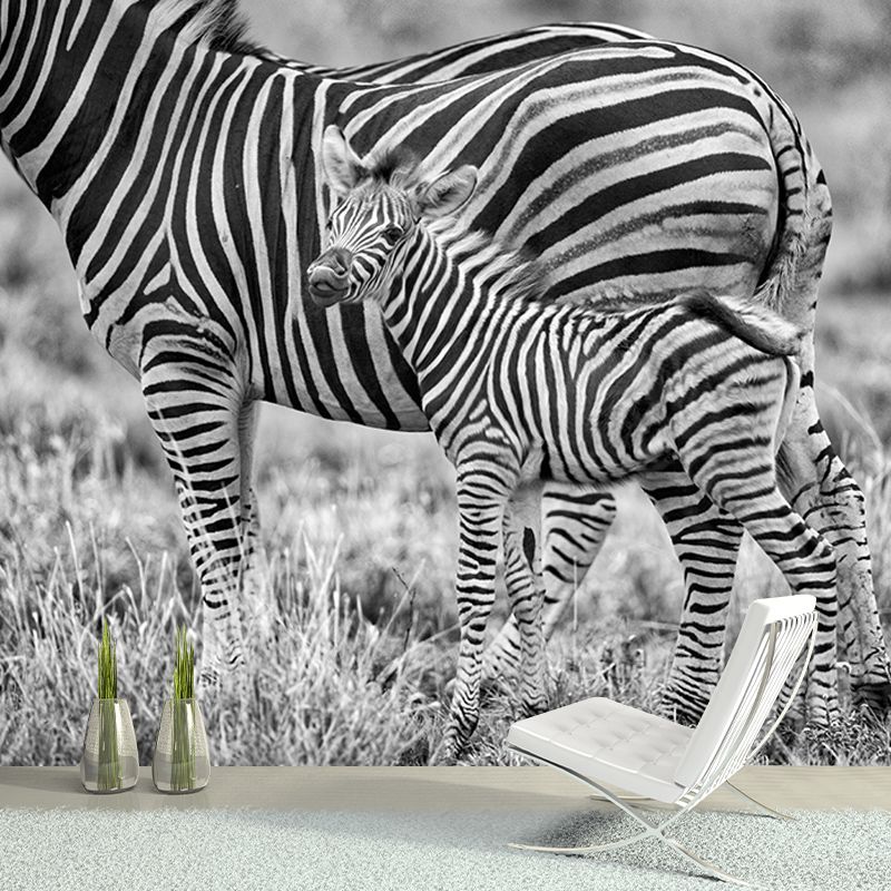 Zebra Mildew Resistant Wild Animal Mural Contemporary Photography Sleeping Room Wall Mural