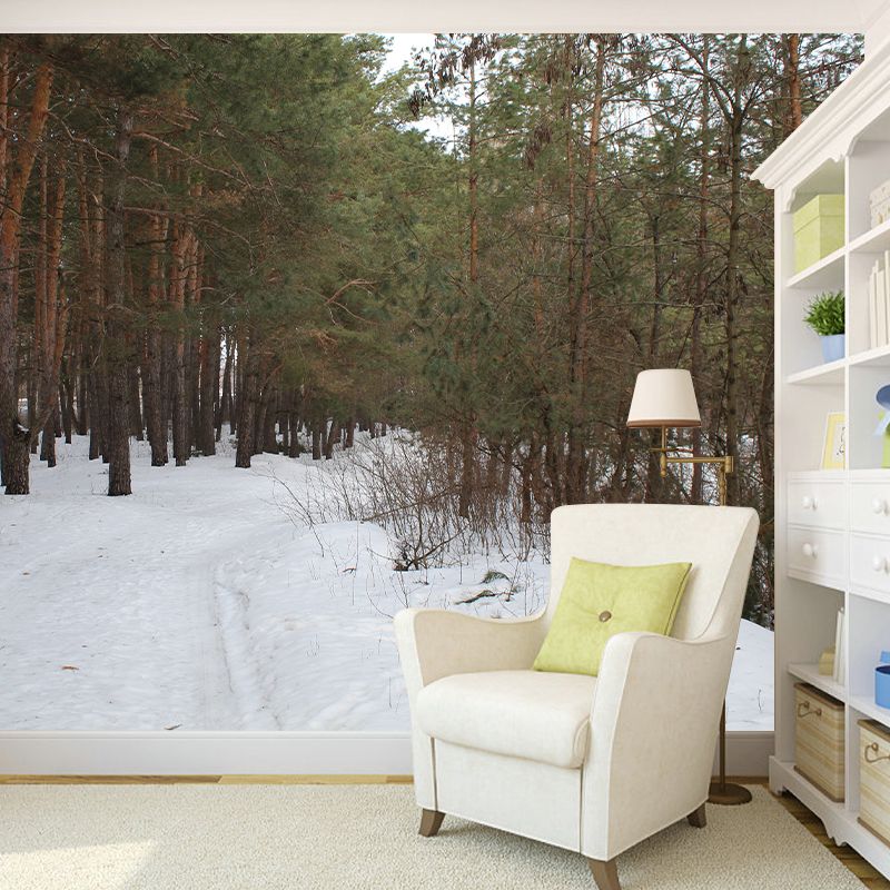 Pine Forest Landscape Wall Murals Moisture Resistant Wall Decor for Sleeping Room