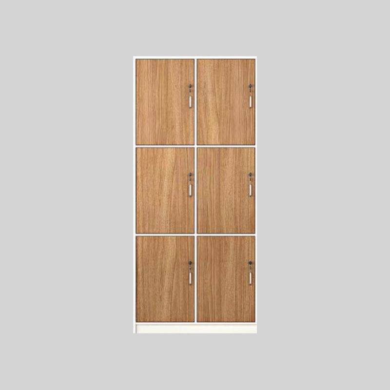 Natural Finish Indoor Cabinet Contemporary Storage Cabinet with Hinged Door