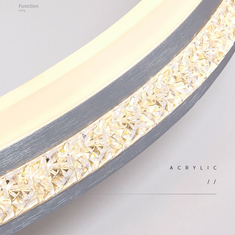 Fixation de la lumière du cercle 1 Légère Acrylique Légère Simplicité Simplicité Fixation du plafond Fixation du plafond