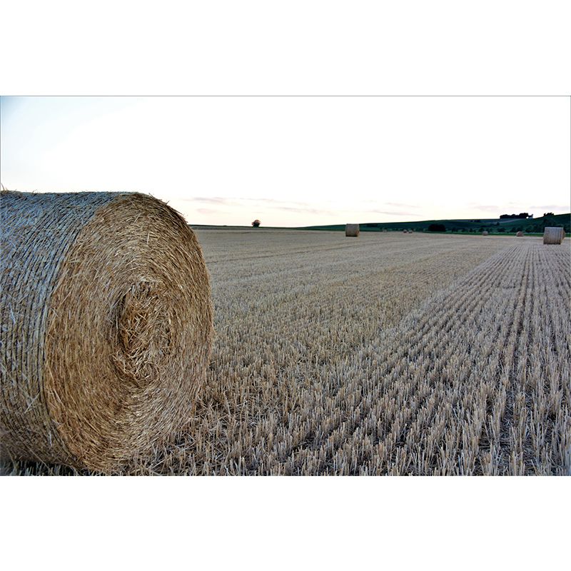 Customized Straw Bales Mural Environment Friendly Wallpaper for Fireplace