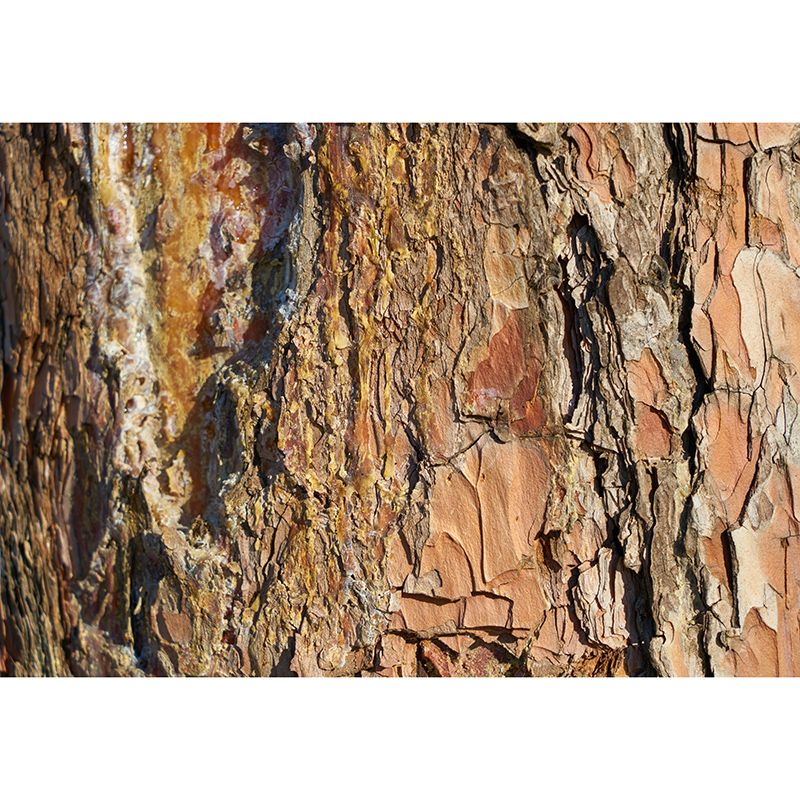 3D Print Industrial Style Wood Texture Mural Mildew Resistant Wall Art