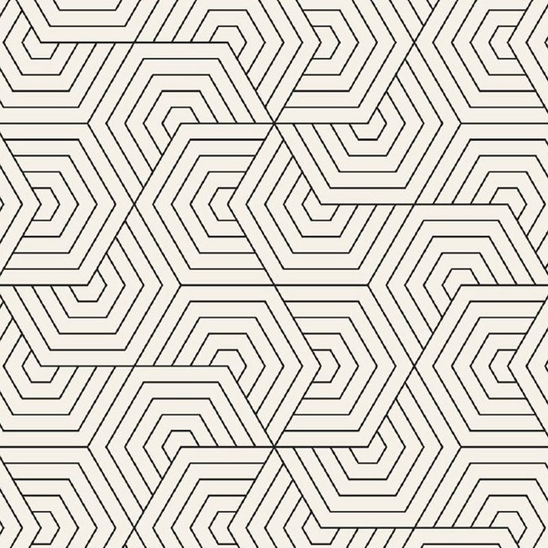 Non-Woven Waterproof Mural Modern Seamless Hexagonal Pattern Wall Art in Black-White