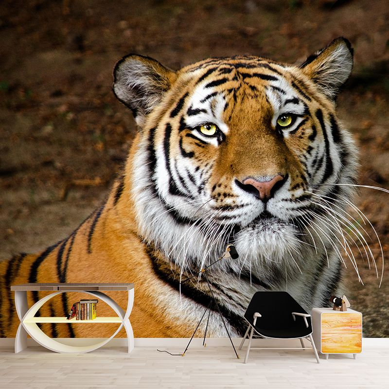 Modern Tiger Close-Up Mural Wall Decor Mildew Resistant Living Room Wall Mural for Wall Decor