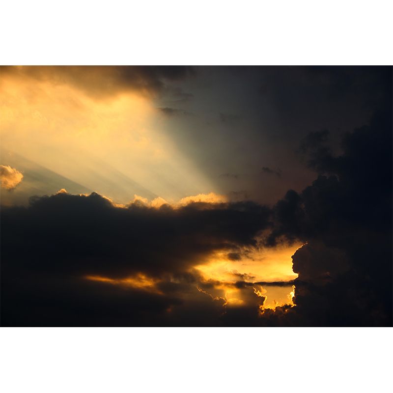 Contemporary Photography Style Sky Mural Wallpaper Mildew Resistant for Home