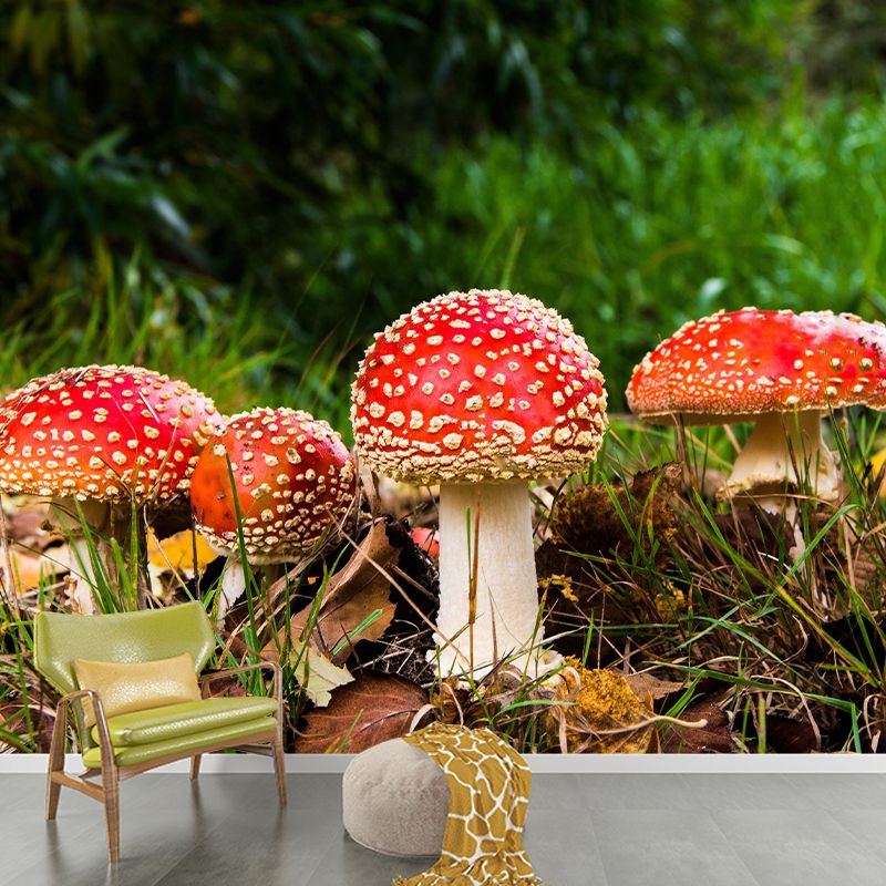 Contemporary Mushrooms Home Mural Mildew Resistant Wall Decor for Bedroom