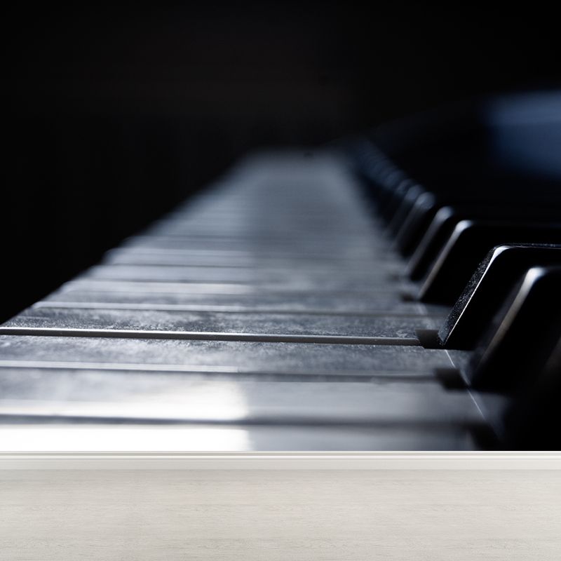 Modern Musical Instrument Wall Mural Decal Full Size, Moisture Resistant