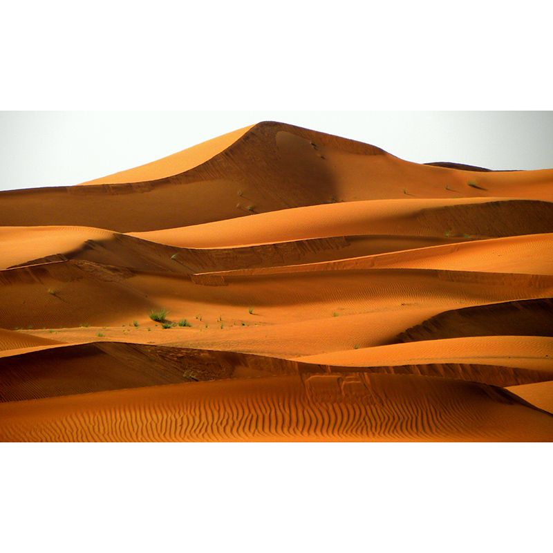 Photography Desert Scenery Wall Murals for Living Room, Moisture Resistant