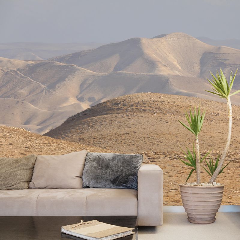 Desert Landscape Mural Modern Style Mildew Resistant for Bedroom