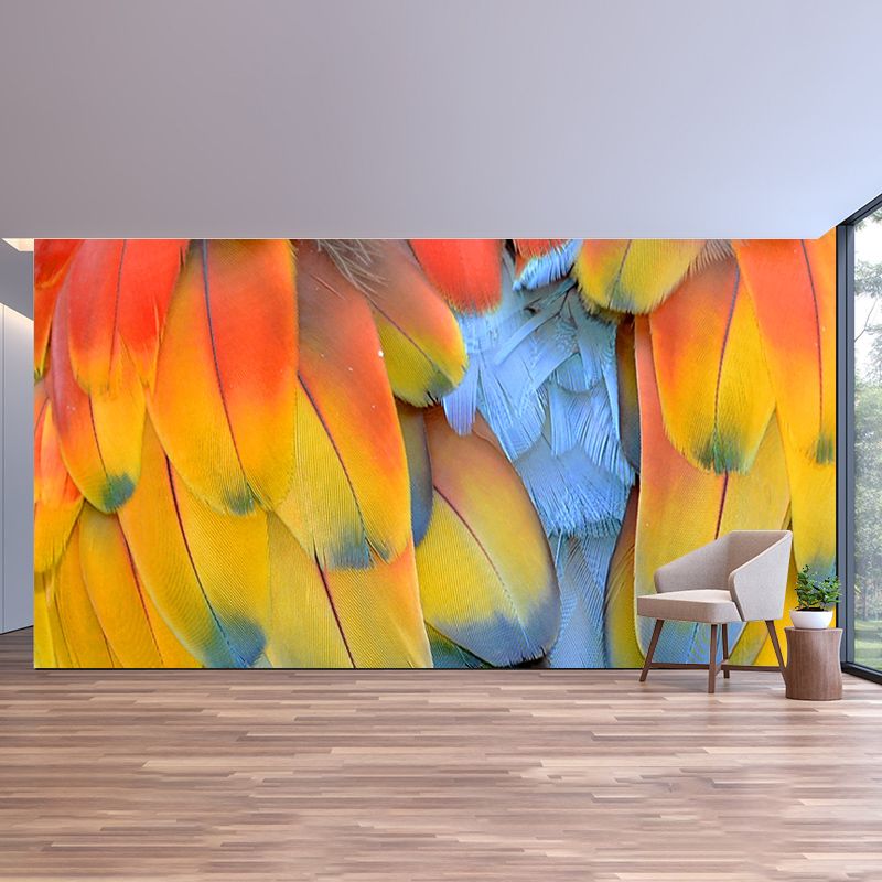 Parrot Feathers Mural Wallpaper for Sitting Room Colorful, Custom Size Available