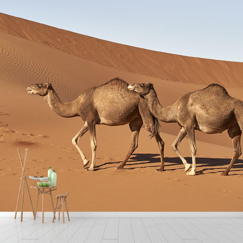 Photography Camel Mural Wallpaper for Sitting Room Decor Multiple Sizes Available