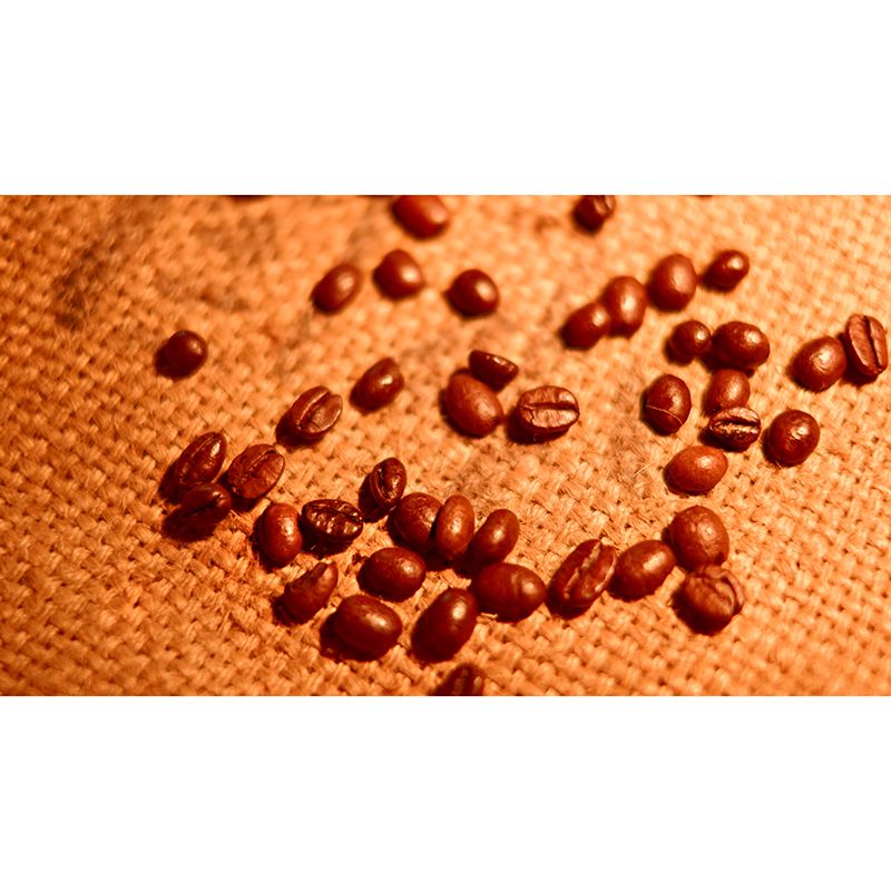 Coffee Beans Stain-Resistant Coffee Shop Wall Decoration, Made to Measure