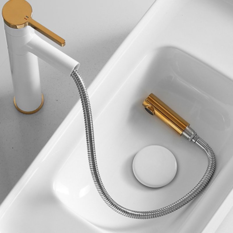 Swivel Spout Bathroom Sink Faucet with Single Handle Brass Faucet