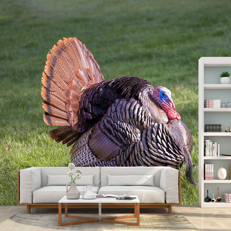 Customized Wild Turkey Wall Mural Horizontal Photography for Sleeping Room