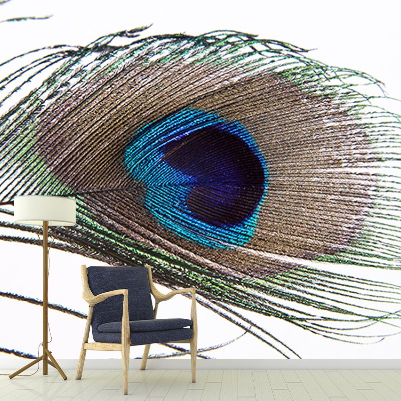 Photography Feather Wall Mural Contemporary Stain Resistant Indoor Wall Murals