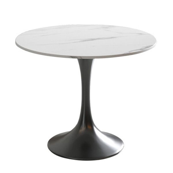 Metal Traditional Luxury Round Table White Sintered Stone Indoor Table for Home
