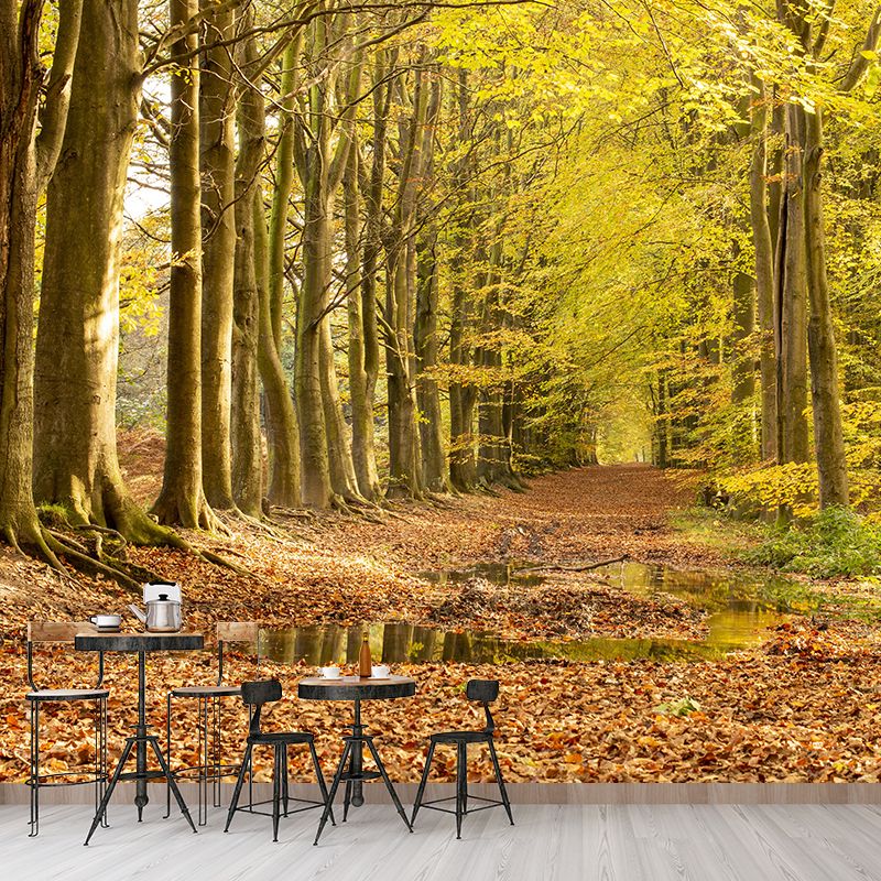 Forest Scenery Moisture Resistant Living Room Wall Decor, Custom Size Available