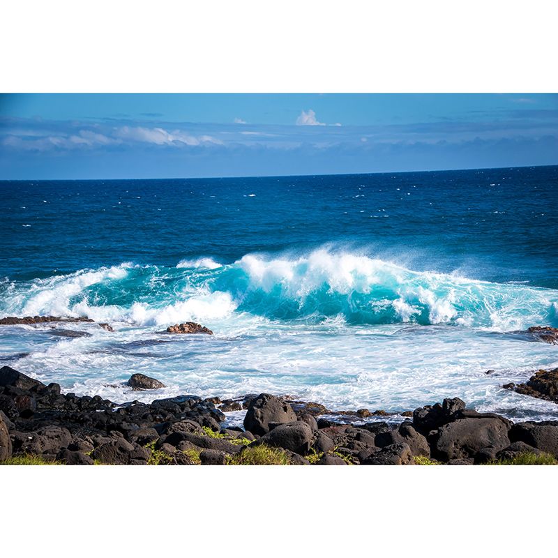 Beautiful Photography Mural Wallpaper Tropical Scenery Indoor Wall Mural