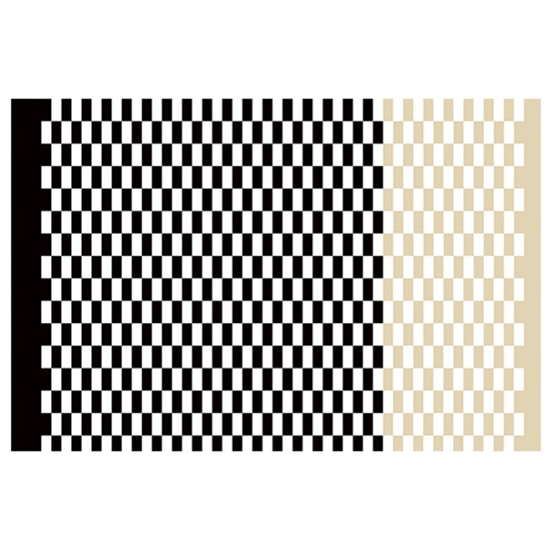 Multicolor Calming Indoor Rug Polyester Gingham Print Rug Easy Care Indoor Rug for Living Room