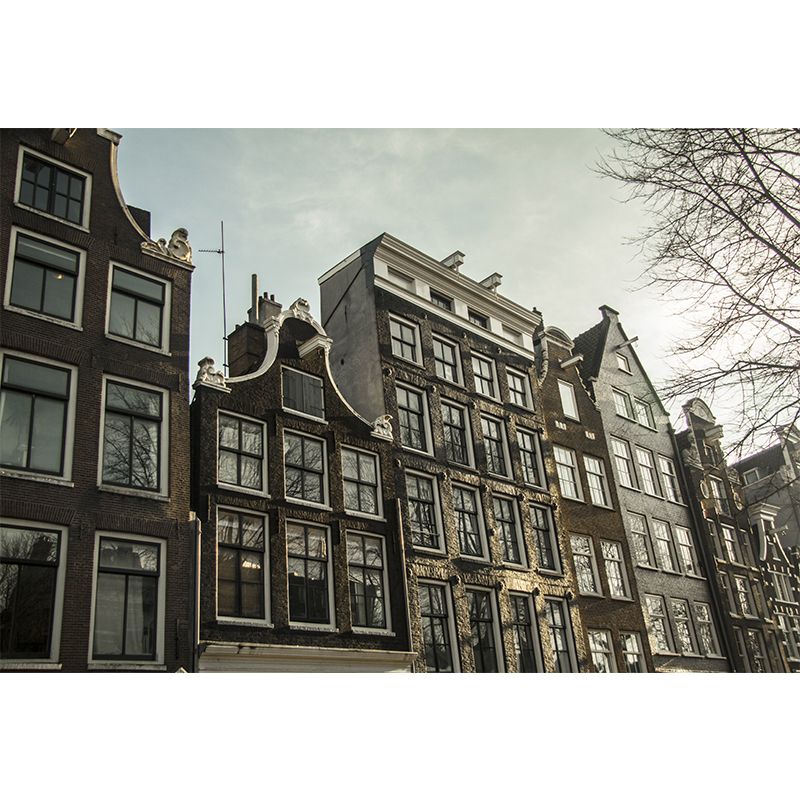 Dutch City Architecture Scenery Mural Water Resistant, Personalized Size