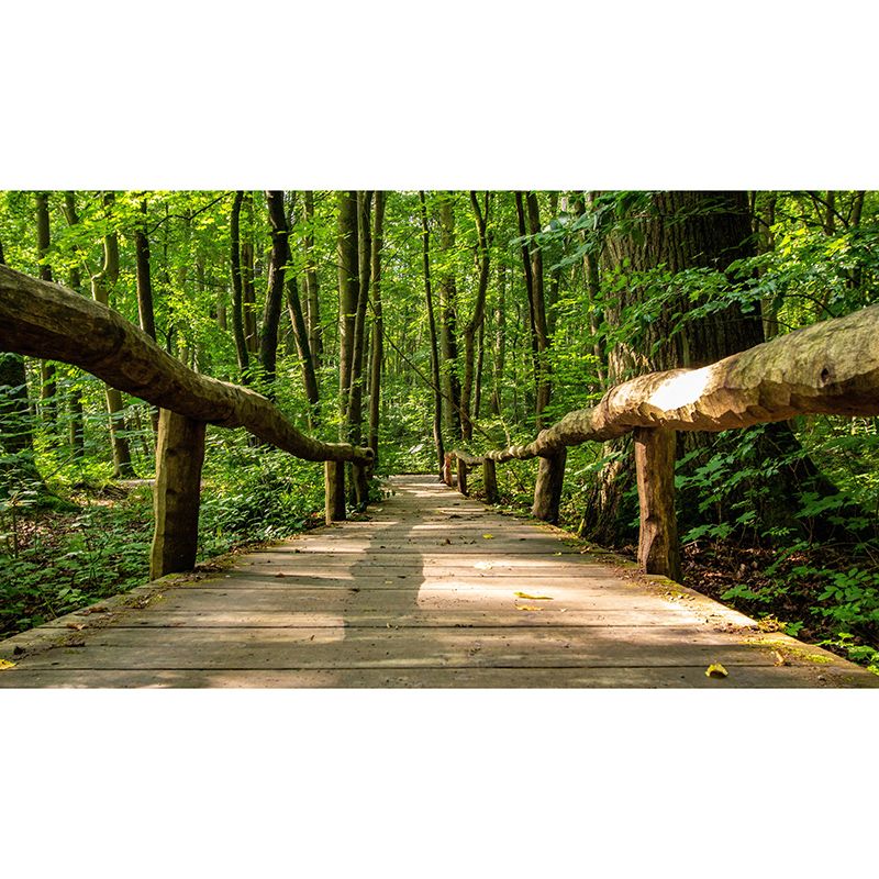 Forest Scene Mural Space Extension Wall Mural Mildew Resistant Decorative Wall Art