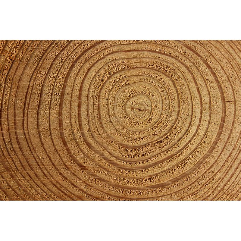 Industrial Style Wood Grain Mural Wallpaper Decorative Mildew Resistant Wall Decor