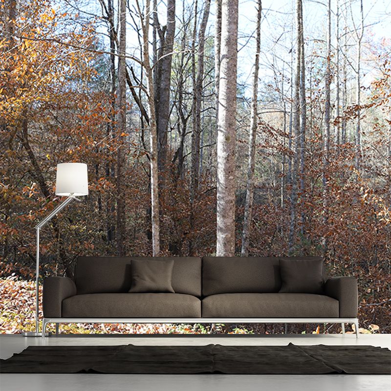 Autumn and Winter Forest Scenery Mural Wallpaper for Home Decor, Moisture Resistant