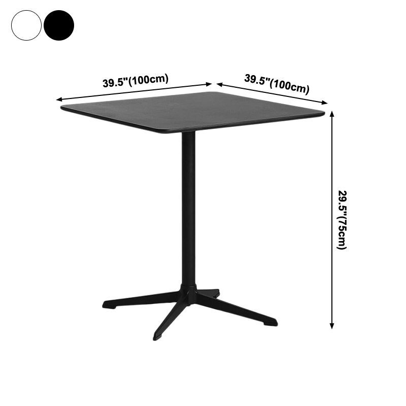 Industrial Wood Dining Table Pedestal Dining Table with Metal Base for Home Use