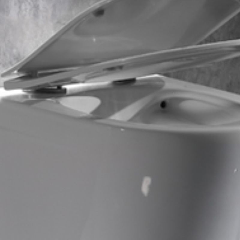 Modern Wall Mounted Flush Toilet White Toilet Bowl with Seat for Washroom