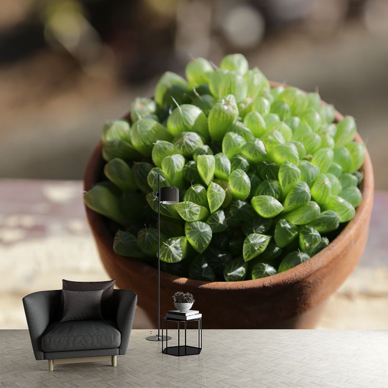 Green Plants Vinyl Wall Art Decor for Office Water Resistant, Custom Size Available