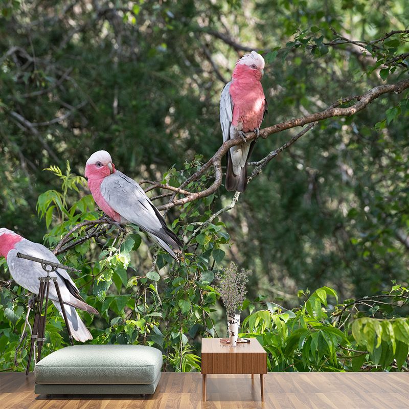 Parrot Animal Mural Wallpaper Stain Resistant Wall Covering for Living Room