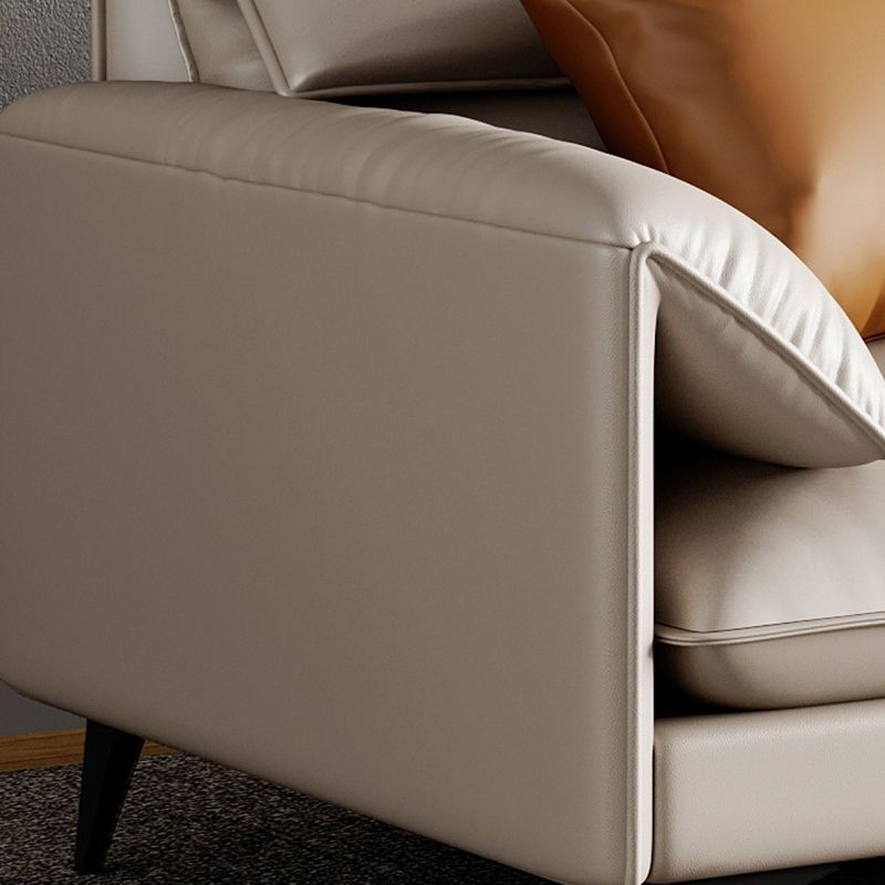 Standard Genuine Leather Contemporary Pillow Top Arm Stain Resistant Sofa Couch