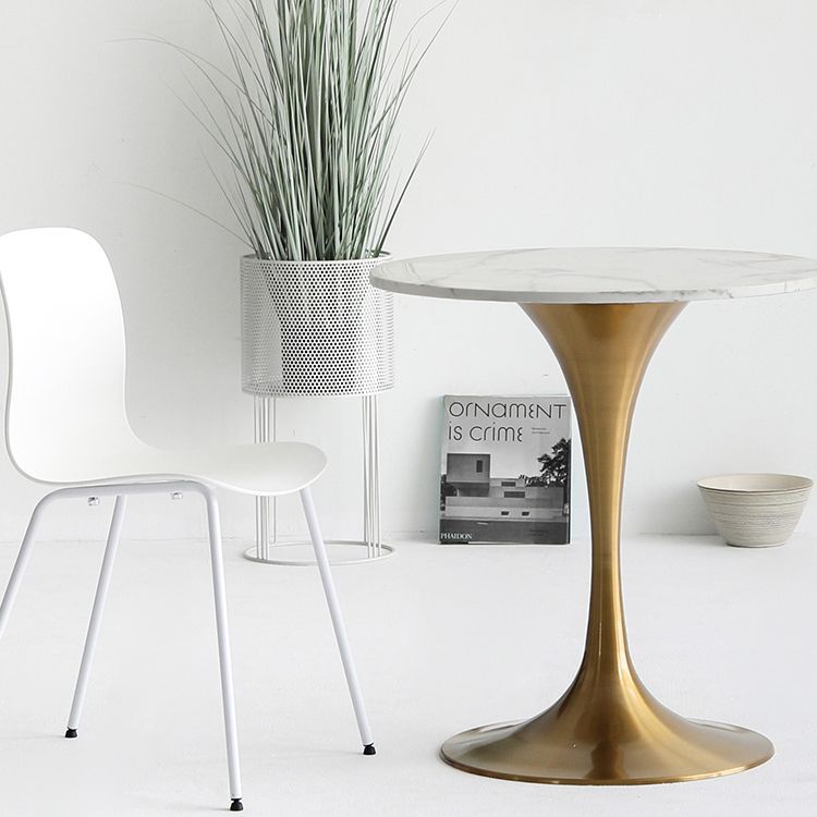 Metal Modern Round Dining Table Marble Top Indoor Table with Tulip Base