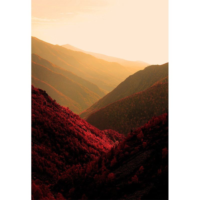Rose Red Modern Mural Wallpaper Full Size Sunrise Mountain Scenery Wall Covering for Home