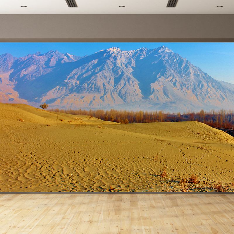 Desert Mural Contemporary Photography Style Wallpaper Mildew Resistant for Decoration
