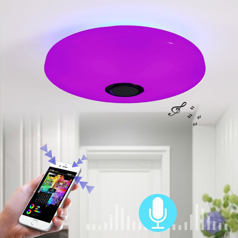 Ceiling Light Fixture Phone Control Light Bluetooth LED Light Living Room Light Indoor Light