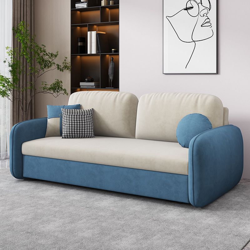 31.49" Wide Sleeper Sofa Velvet Detachable Mattress Sofa Bed with Storage