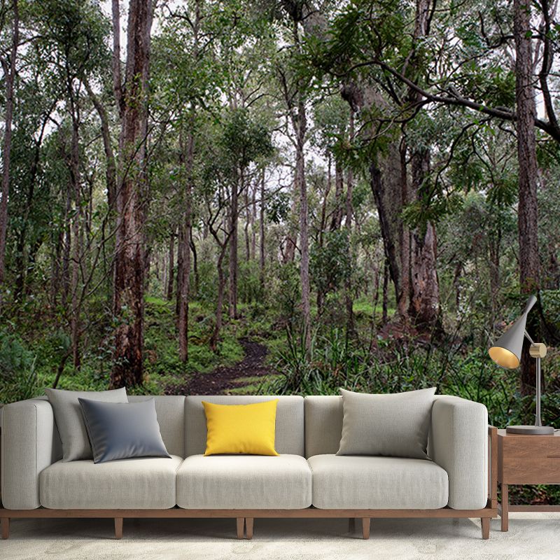 Minimalism Style Forest Mural Wallpaper Water Resistant Wall Covering for Home