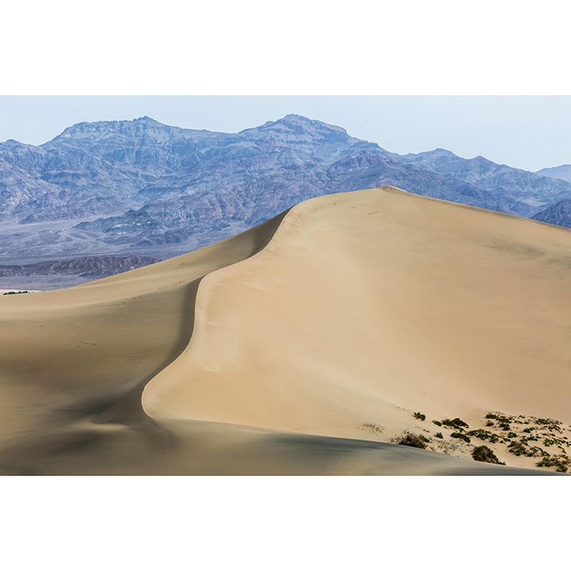 Barren Desert Landscape Mural Moisture Resistant Modern Style Bedroom Wall Art