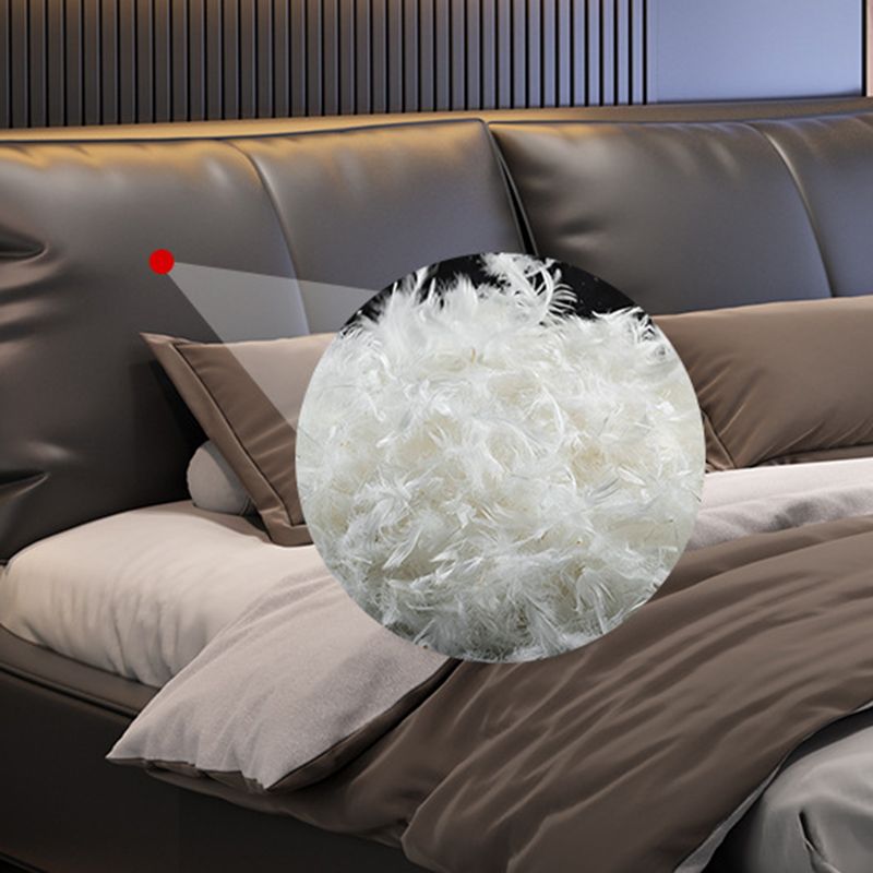 Contemporary Upholstered Mattress Included with Headboard Rectangular Bed