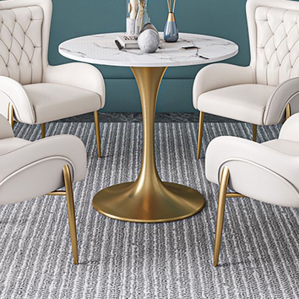 Scandinavian Kitchen Dining Room Set with Sintered Stone Top and Gold Base Dining Furniture