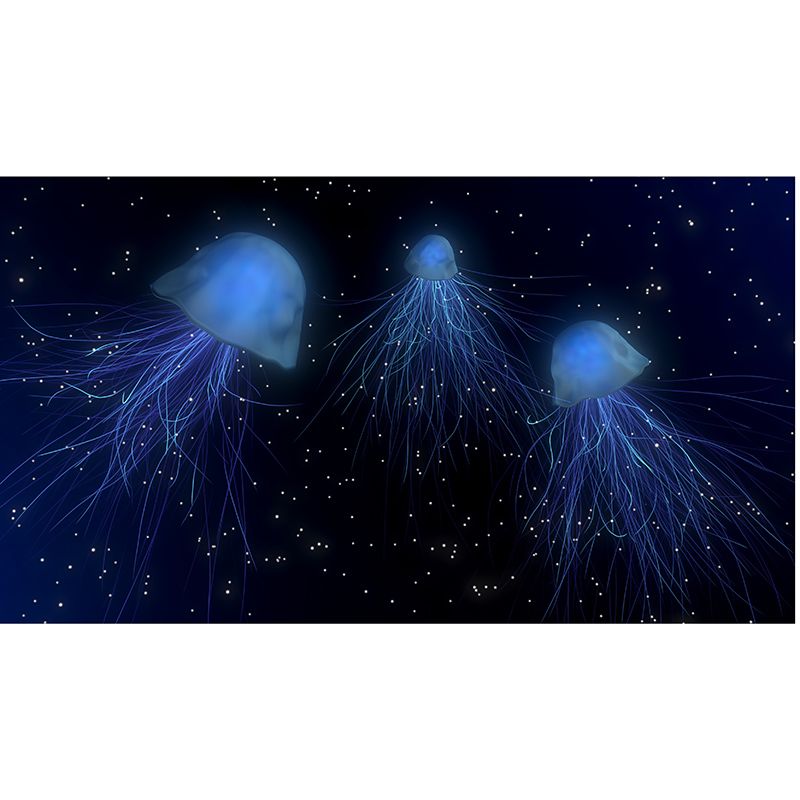 Decorative Photography Mural Wallpaper Marine Life Indoor Wall Mural