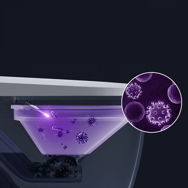 Siphon Jet Toilet Bowl Contemporary Floor Mounted Toilet for Bathroom