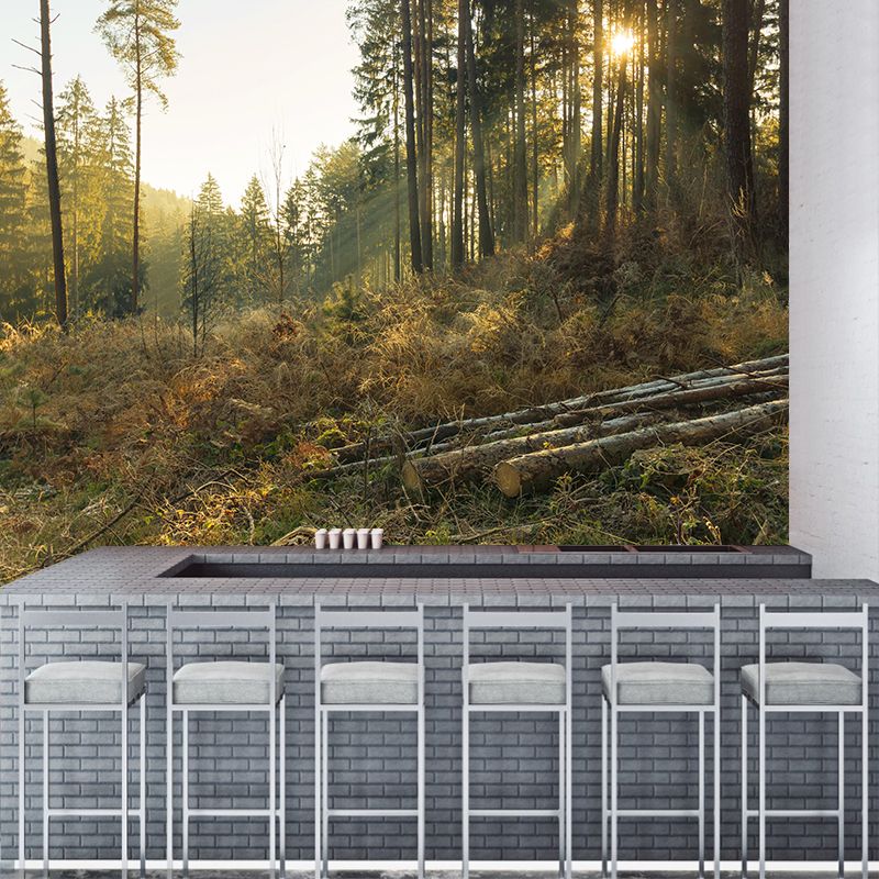 Autumn Forest Scenery Wall Mural Contemporary Home Decor for Sitting Room