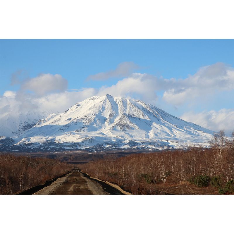 Mountain View Wall Mural Wallpaper Modern Mildew Resistant for Bedroom