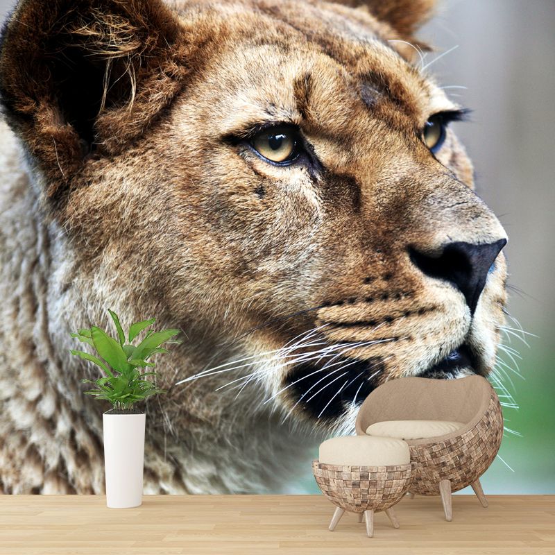 Photography Lion Side Face Mural Whole Wall Covering for Bedroom, Personalized Size