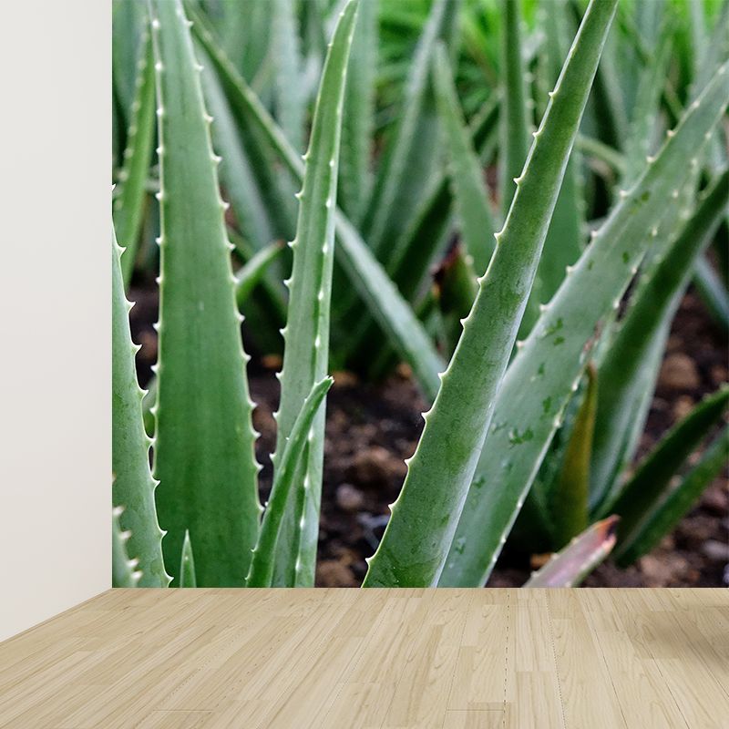 Green Plants Wall Mural Aloe Mildew Resistant Wall Art Decor for Office Home Apartment