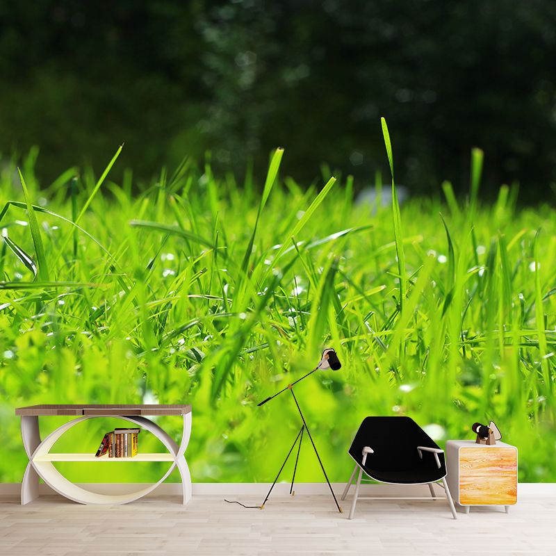 Weed Wall Mural Water Mildew Resistant Environment Friendly Wall Decor for Bedroom