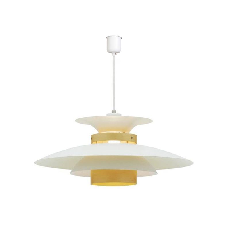 Moderne stijl hangend licht metaal hangend verlichtingsarmatuur voor zitkamer